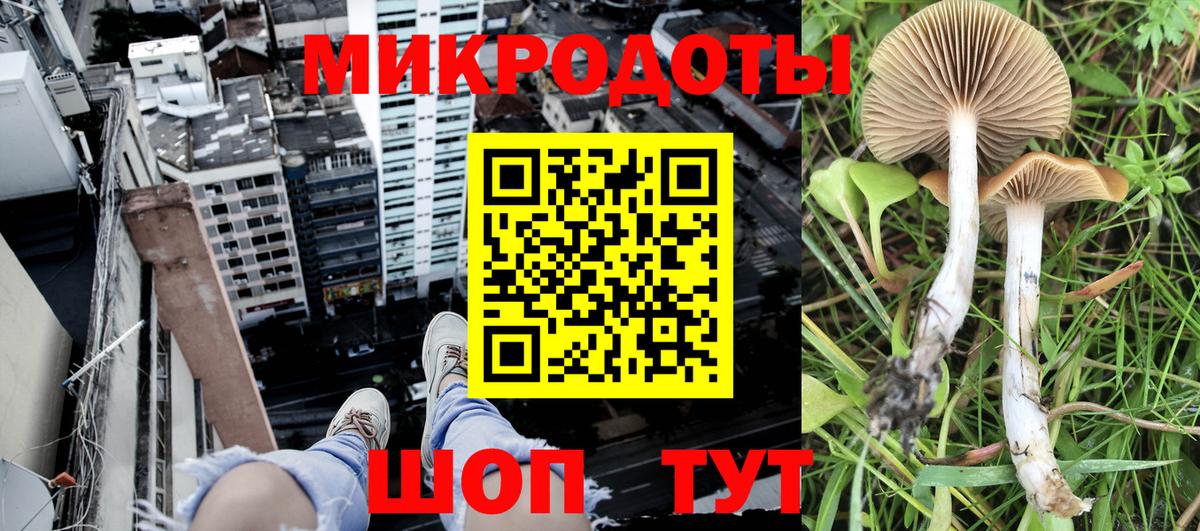 Псилоцибиновые грибы Magic Shrooms Алексин