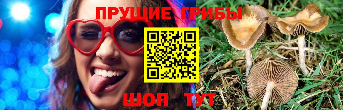 Алексин  Галлюциногенные грибы ЛСД  Вход с VPN 